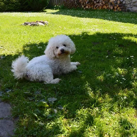 Iva Hébergement de vacances