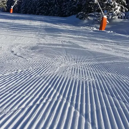 Iva Liptovský Mikuláš