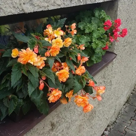 Iva Semesterbostad Liptovský Mikuláš