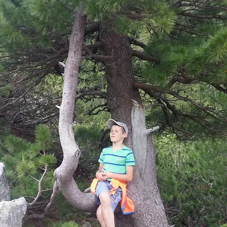 Iva Hébergement de vacances Liptovský Mikuláš