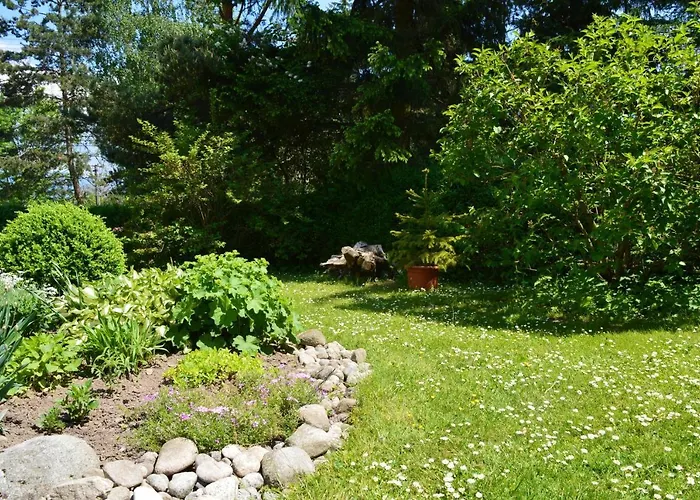 Iva * Liptovský Mikuláš