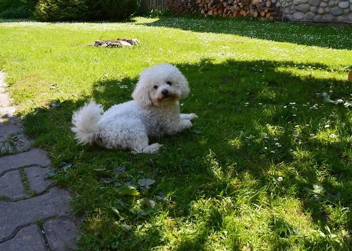 Iva Сasa de vacaciones