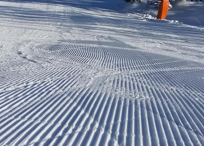 Iva Liptovský Mikuláš