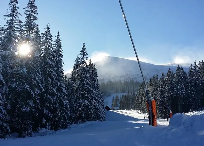 Iva Сasa de vacaciones *