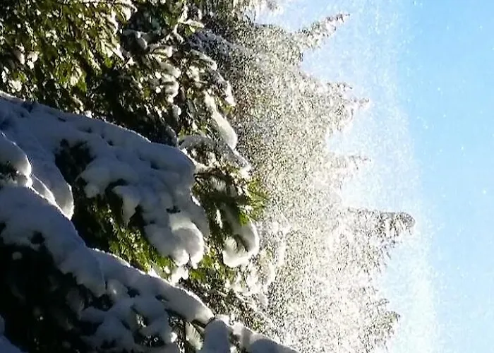 Iva Сasa de vacaciones