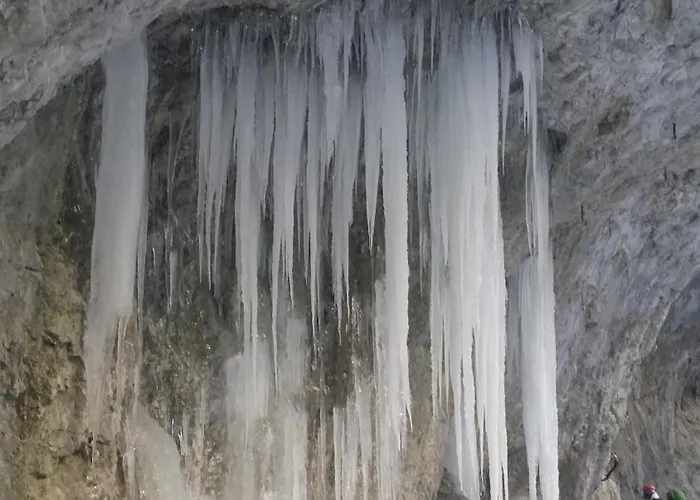 Iva * Liptovský Mikuláš